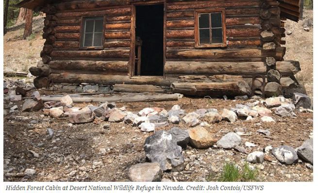 1. Desert National Wildlife Refuge: Hidden Forest Cabin